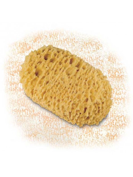 Гъба за декорации S770 - Cinghiale
