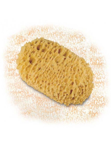 Гъба за декорации S770 - Cinghiale