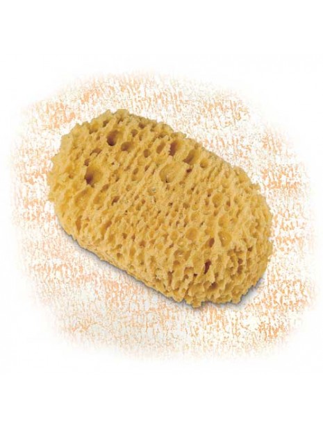 Гъба за декорации S770 - Cinghiale